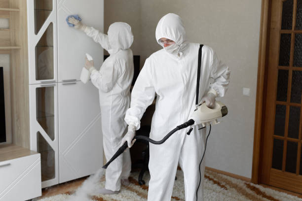 24/7 Emergency Odor Removal experts in Paris, AR